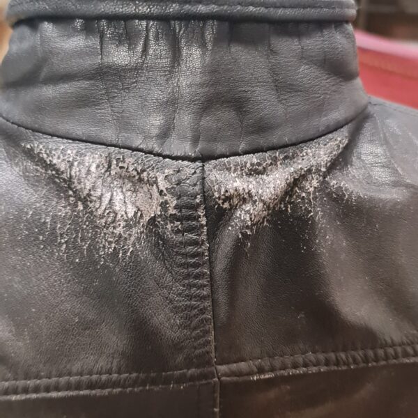 Teinture dos cuir - avant